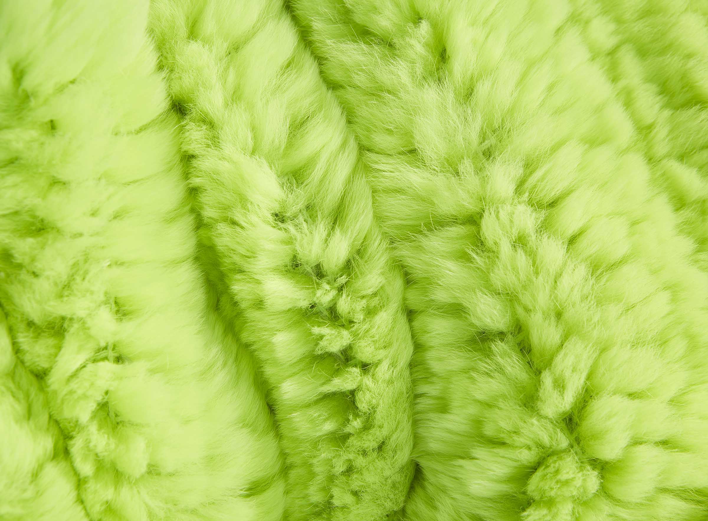 Standard Rex Kaninchendecke lime