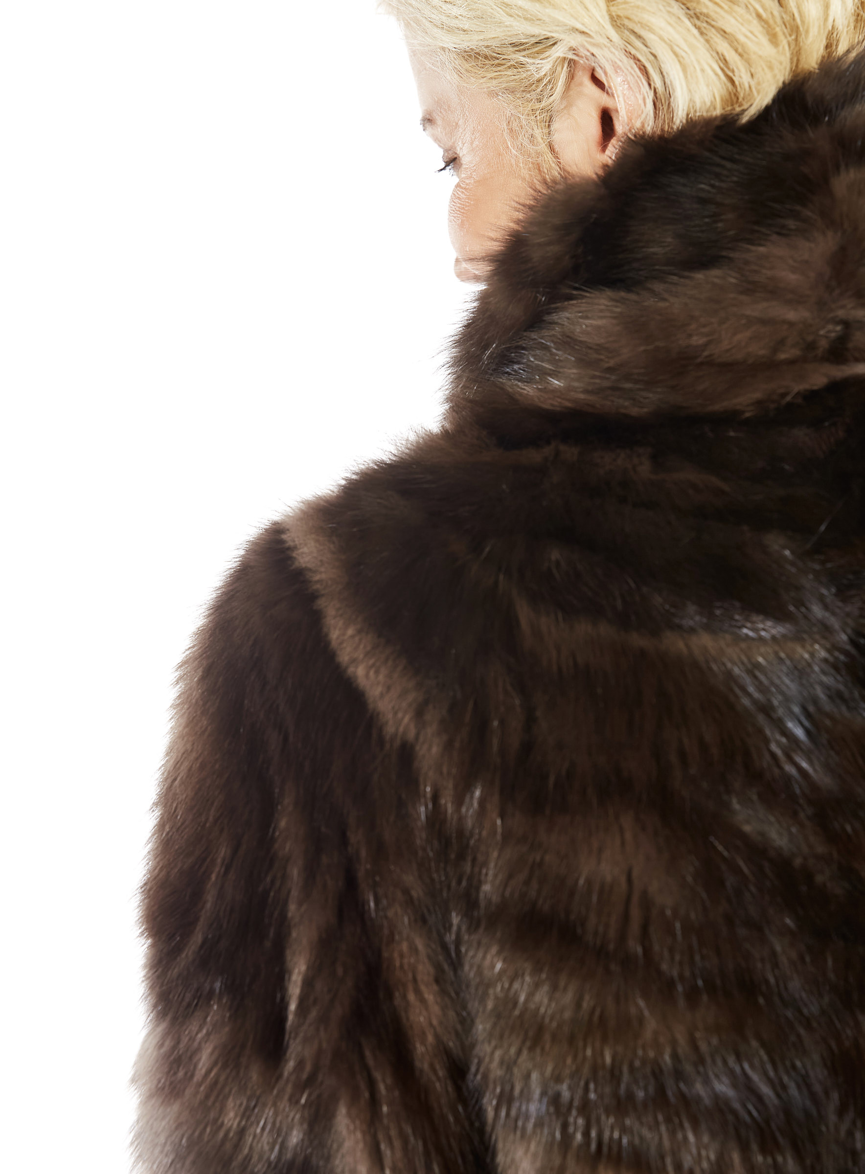 Zobelarcade Kurzjacke barguzin mit Druckknöpfen