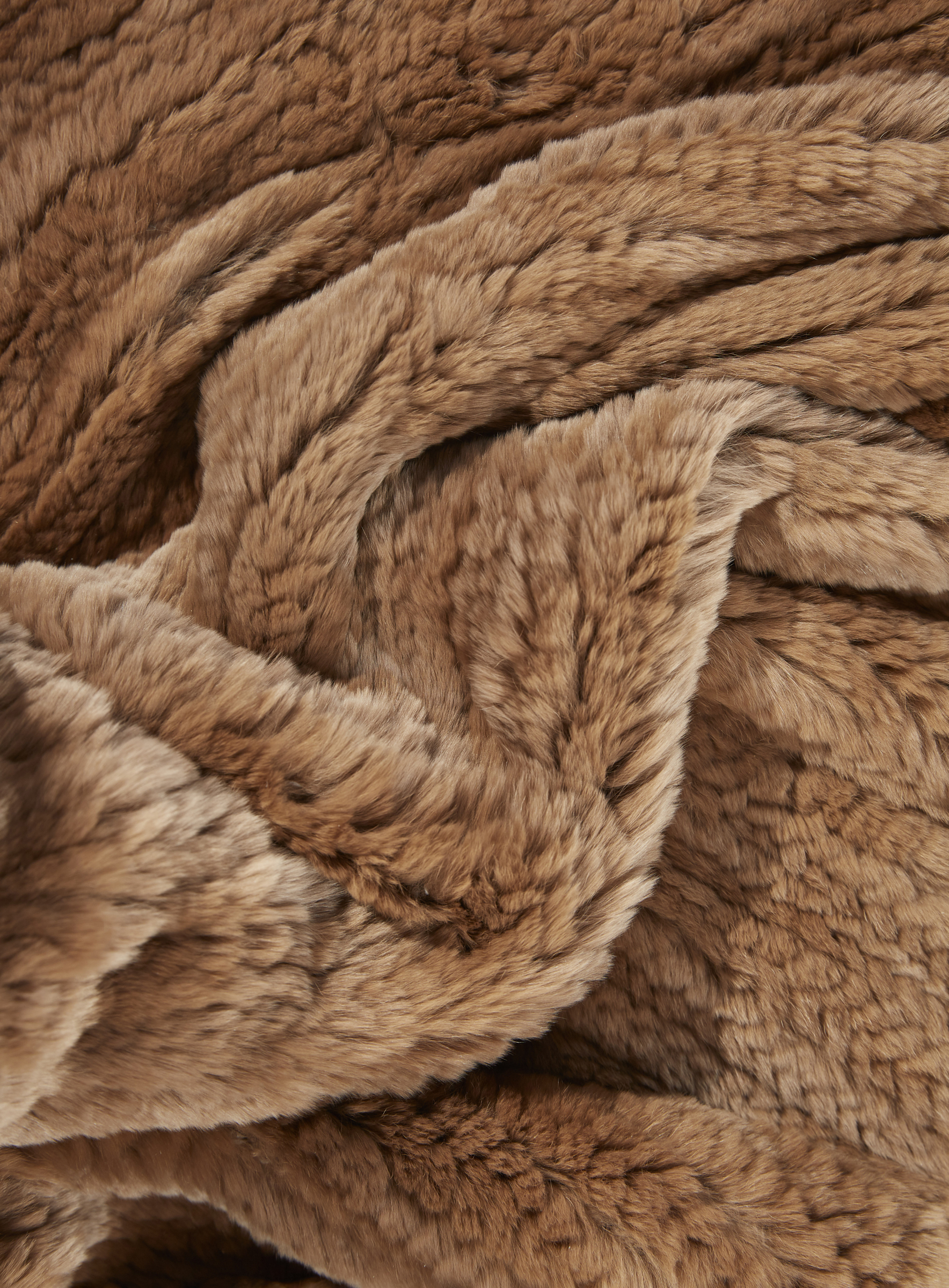 Standard Rex Kaninchendecke camel