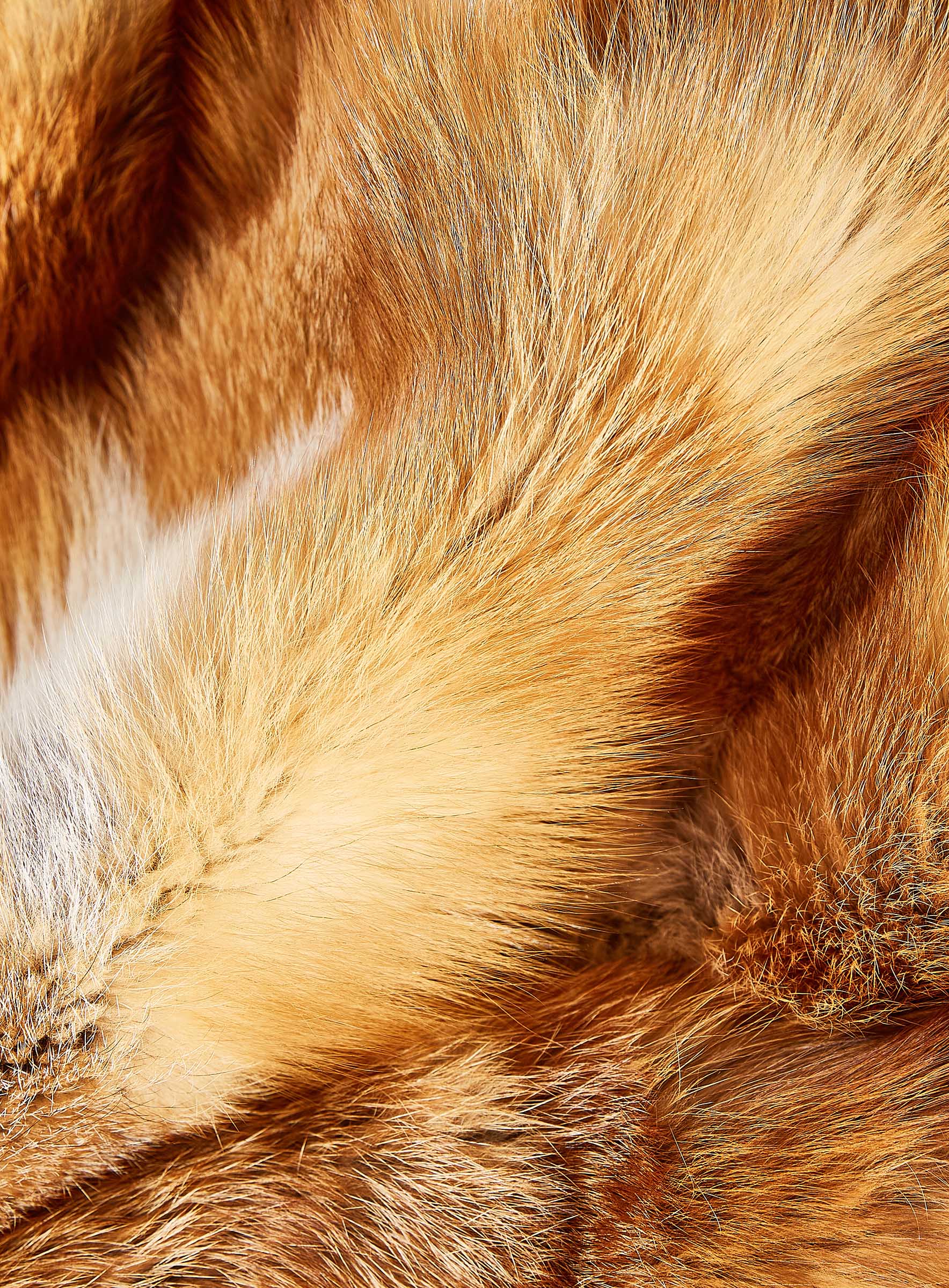 Kanadische Rotfuchs Decke in Naturfarben