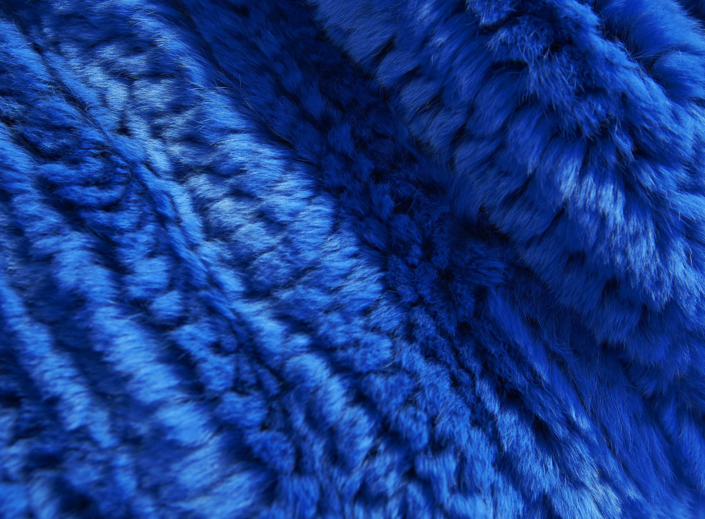 Standard Rex Kaninchendecke electra blau