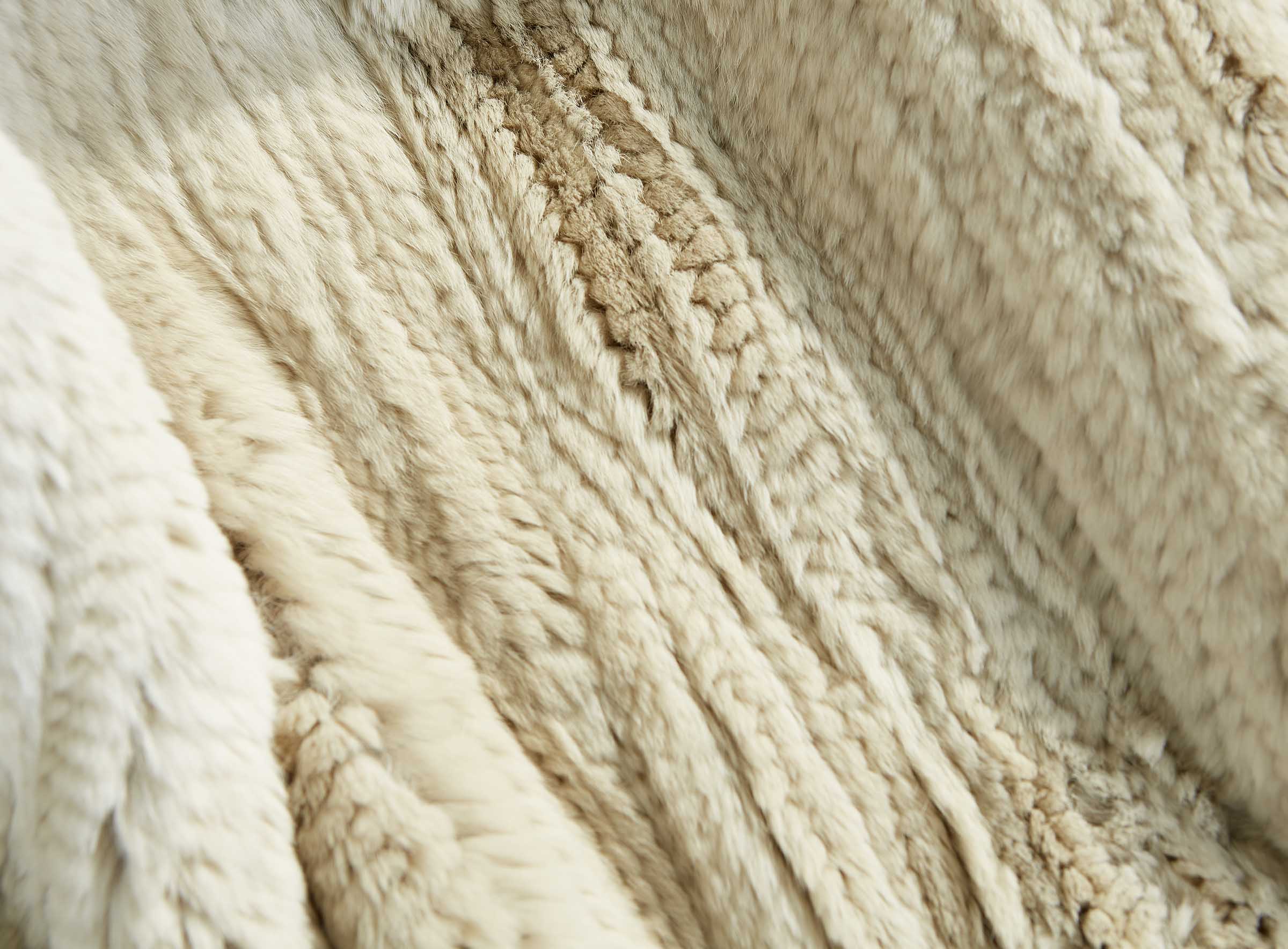 Standard Rex Kaninchendecke beige