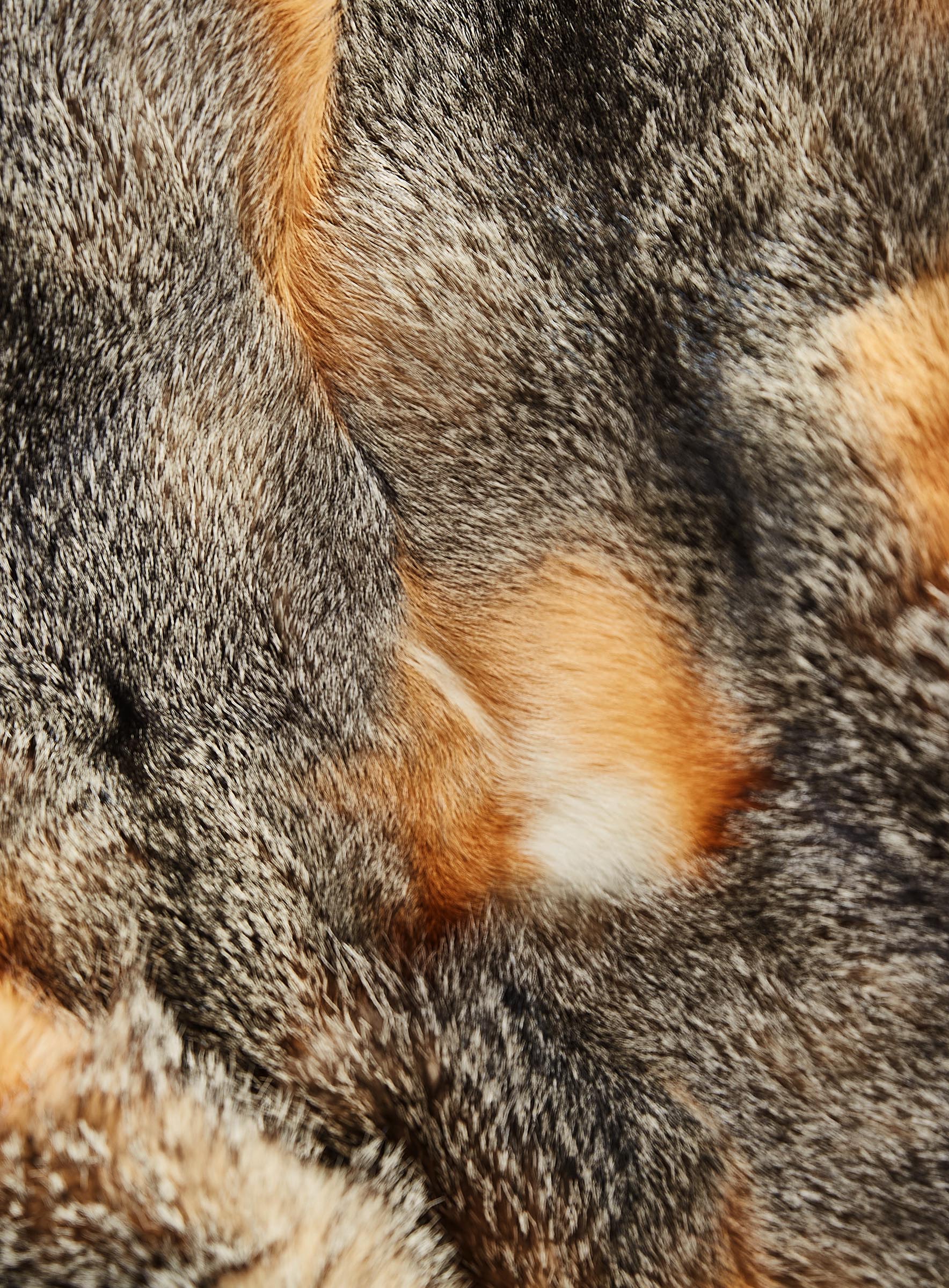 Amerikanische Grisfuchs Decke in Naturfarbe