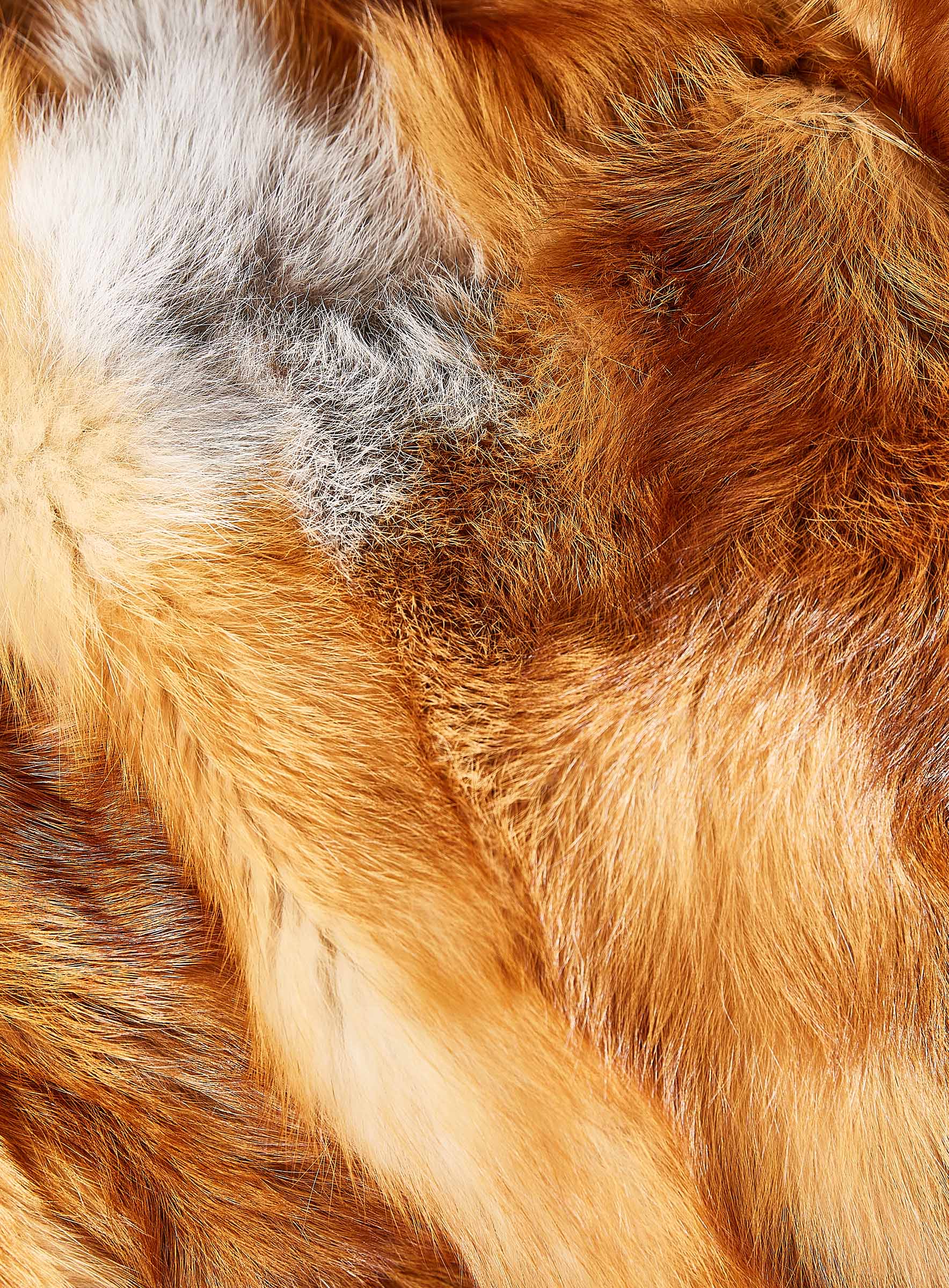 Kanadische Rotfuchs Decke in Naturfarben