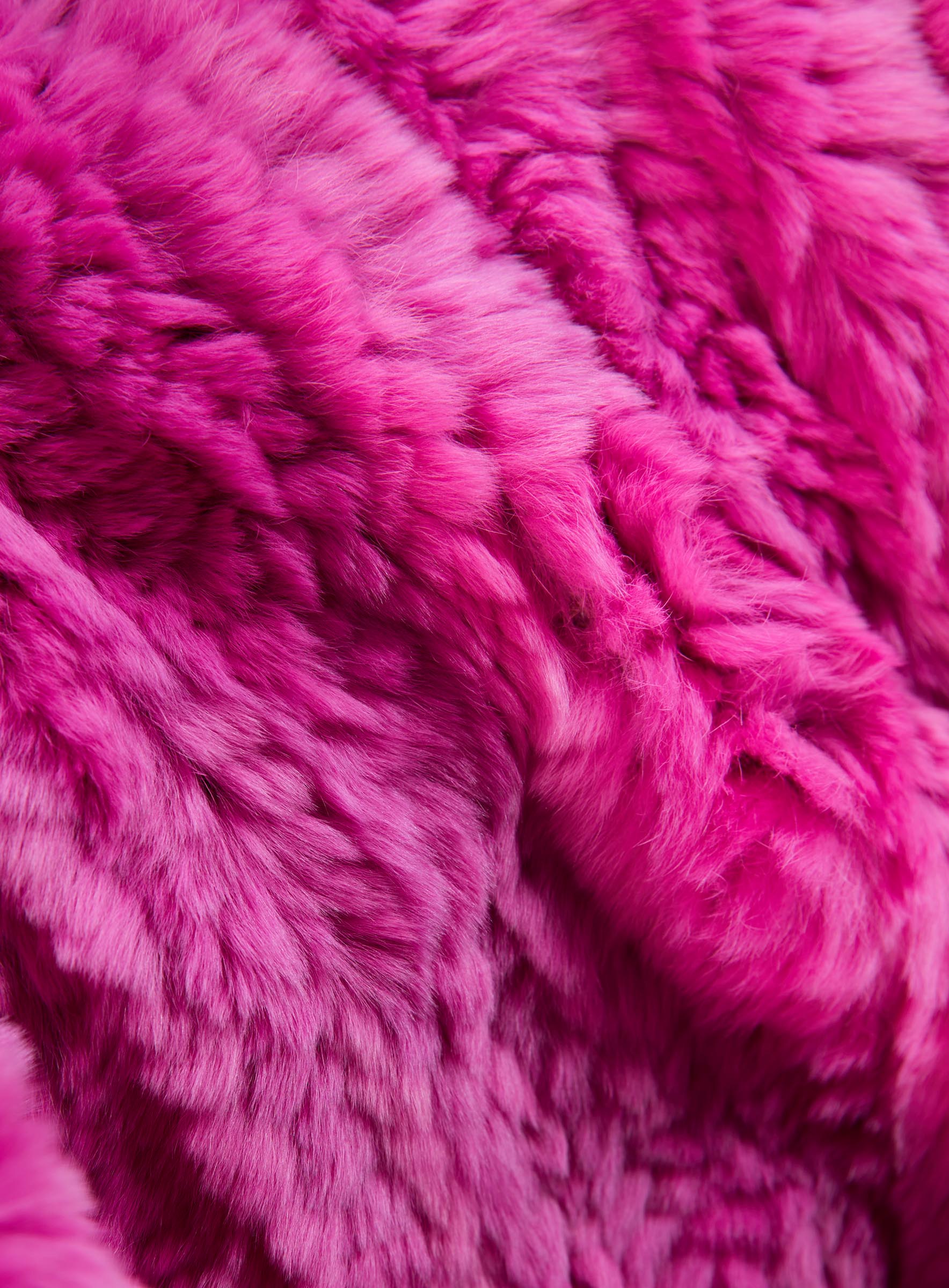 Standard Rex Kaninchendecke pink