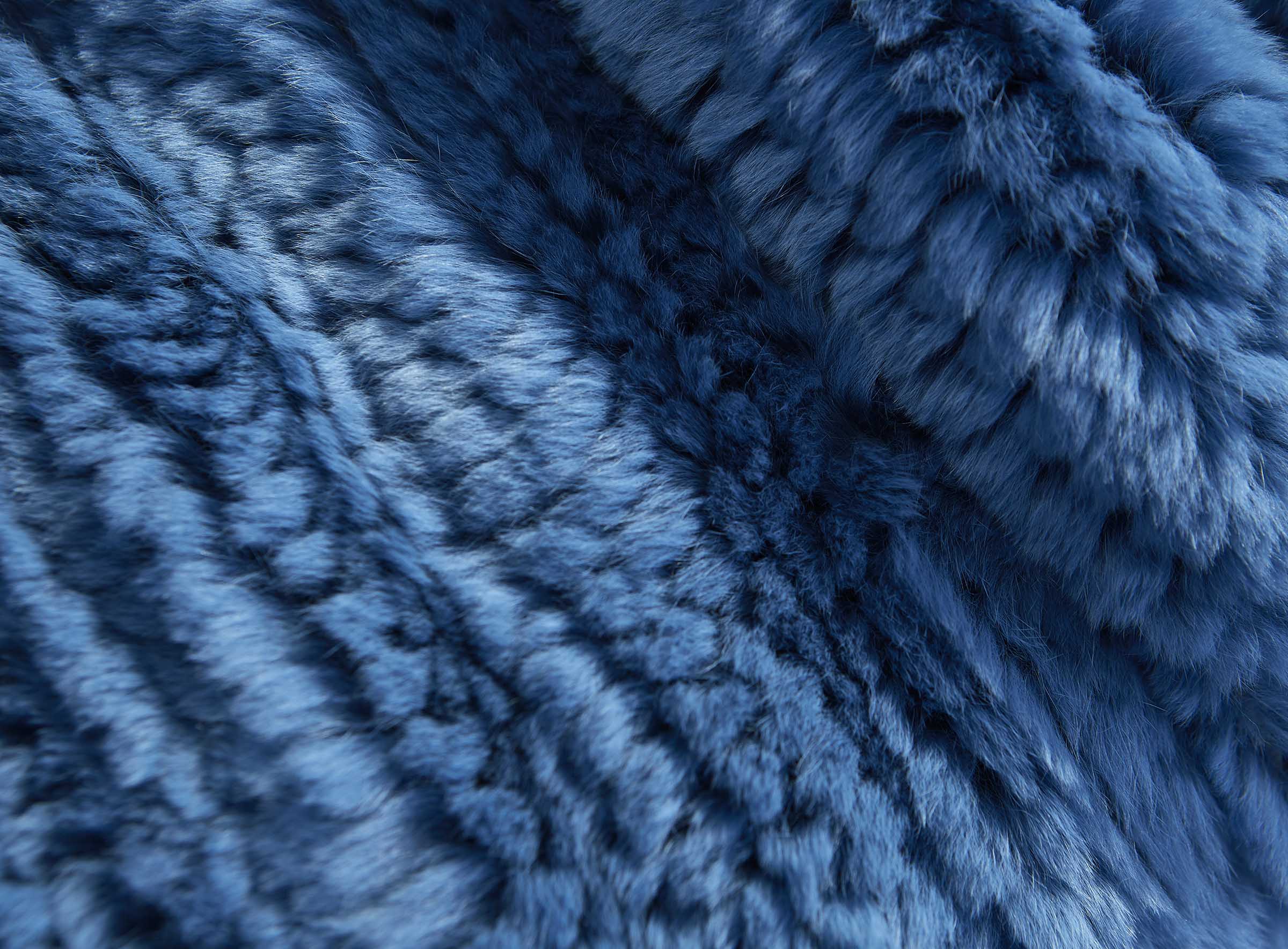 Standard Rex Kaninchendecke blau